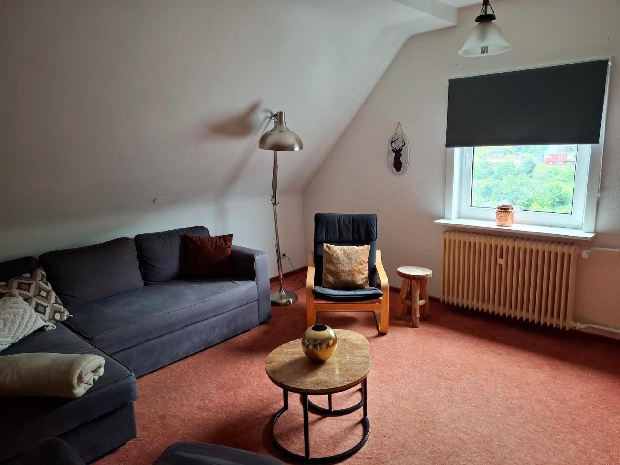 Cosy Apartment In Schwalefeld Near Willingen With Private Terrace Zewnętrze zdjęcie